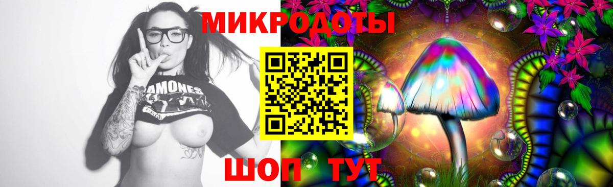 Галлюциногенные грибы Cubensis Тосно